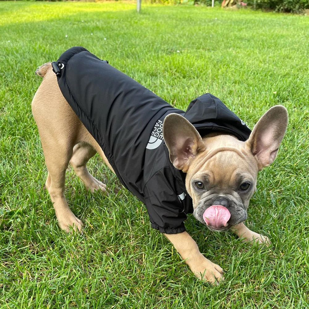Stylish Waterproof Winter Dog Coat - Warm Cotton Hooded Jacket for Small Dogs and Cats with Reflective Detail