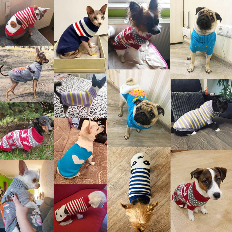 Cozy Knitted Sweater for Small to Medium Dogs - Stylish Winter Coat for Chihuahuas, Bulldogs, and Puppies
