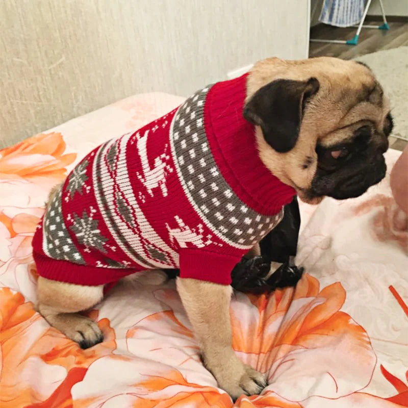 Cozy Knitted Sweater for Small to Medium Dogs - Stylish Winter Coat for Chihuahuas, Bulldogs, and Puppies