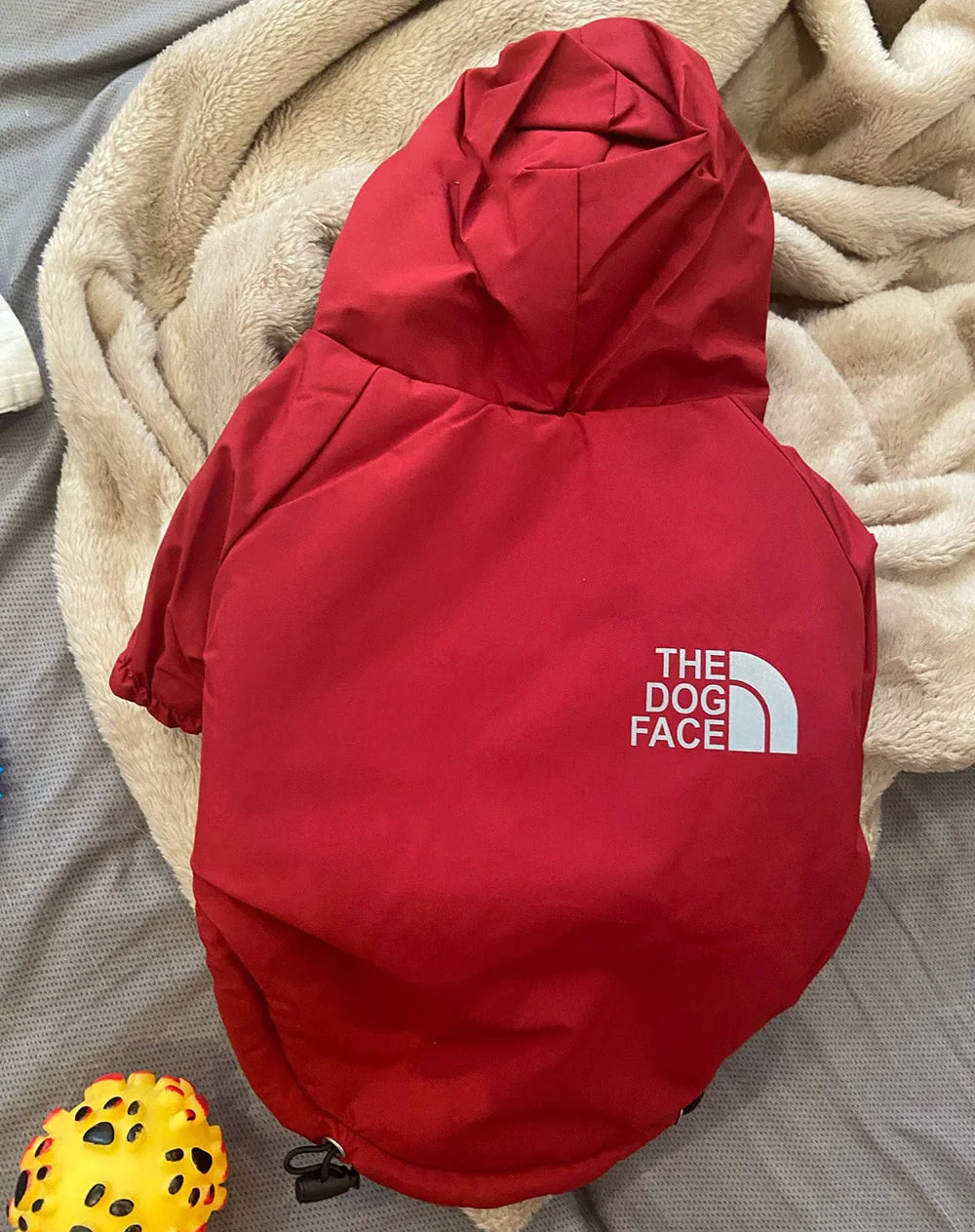 Stylish Waterproof Winter Dog Coat - Warm Cotton Hooded Jacket for Small Dogs and Cats with Reflective Detail