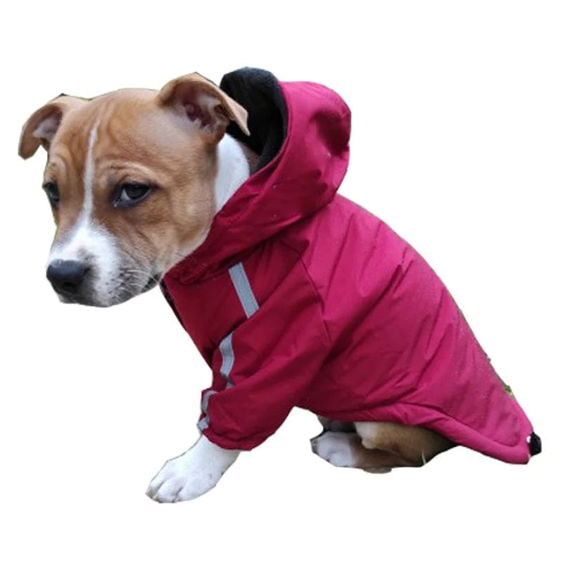 Stylish Waterproof Winter Dog Coat - Warm Cotton Hooded Jacket for Small Dogs and Cats with Reflective Detail
